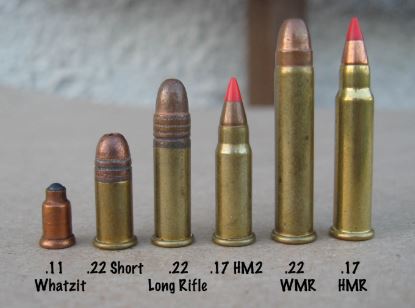A photo showing the .11 Whatzit, a tiny novelty "cartridge", and comparing it to others such as .22 Long Rifle.