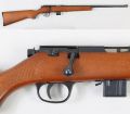 Marlin-Model-25MG-25-MG-22-WMR-Magnum-Shotgun-Garden-Gun-Firearm-Wiki.jpg